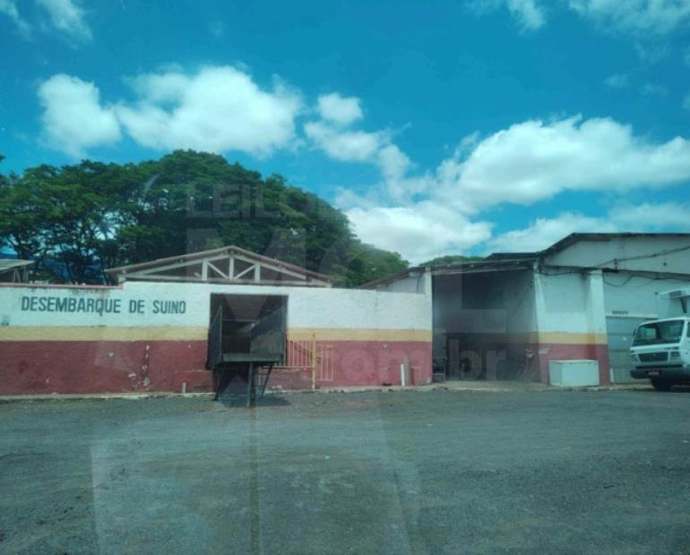 ALFENAS/MG - Frigorífico com terreno de 11.428,00m² no Córrego do Pântano IMÓVEIS | MG, localizado em Alfenas - MG