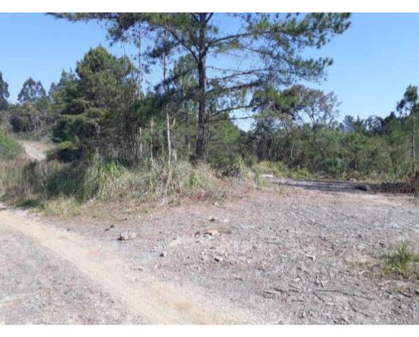 Foto de MAFRA/SC - Terreno Rural com 107.690 m² na localidade Rio Branco