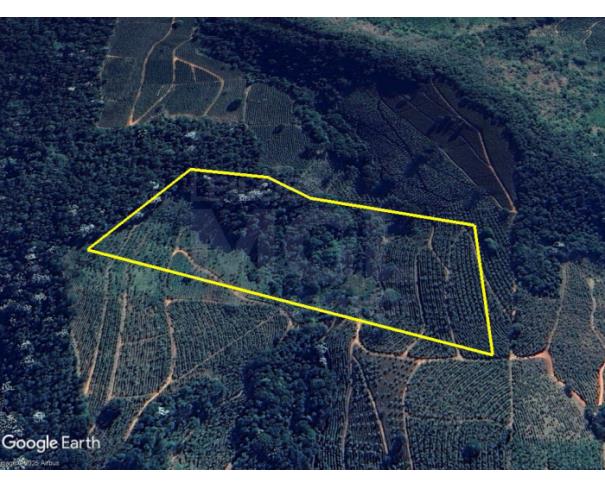 Foto de SÃO JOSÉ DO ALEGRE/MG — Terreno rural com 8.82.49 hectares no Bairro Mamono