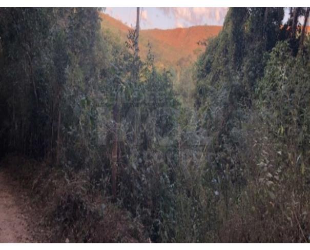 São joaquim de bicas/mg - lote de terreno área 360m² no bairro carandaí. lote em leilão | mgl leilões