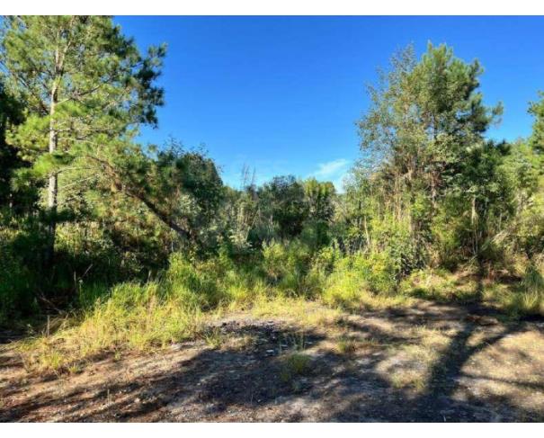 Foto de MAFRA/SC - Terreno Rural com 107.690 m² na localidade Rio Branco
