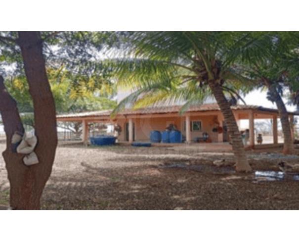Foto de MUQUÉM DO SÃO FRANCISCO/BA – Fazenda com a área de 225,1618ha, denominada Fazenda Santa Rosa