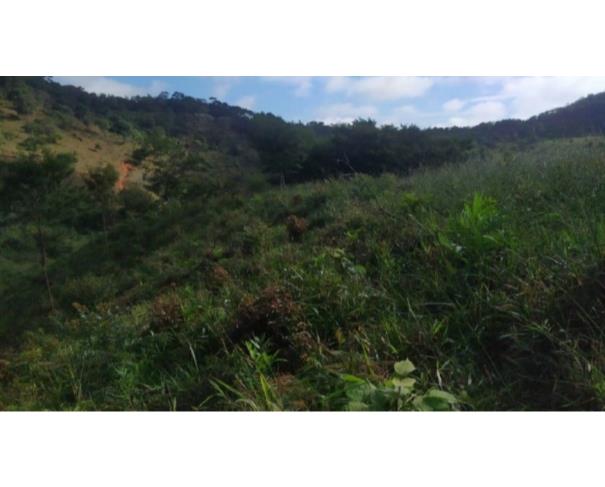 Foto de RIO VERMELHO/MG TERRENO COM ÁREA DE 17,51,59HA 