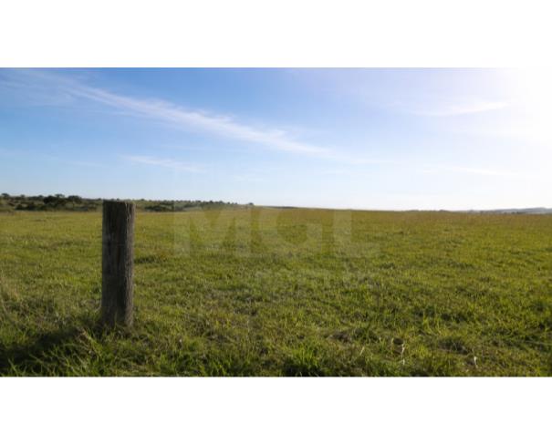 Foto de LUZ/MG – Fazenda Noruega com a área de 45,84,05ha no distrito de Esteios