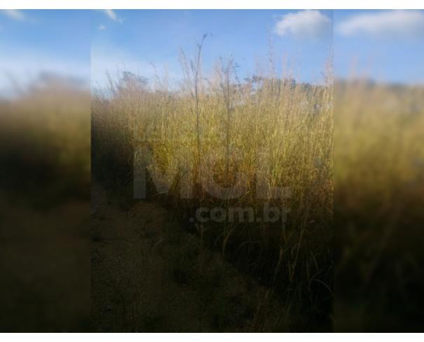 Foto de BRASILÂNDIA DE MINAS/MG — Fazenda Cachoeira 303.13.28 hectares (3.031.300m²) 