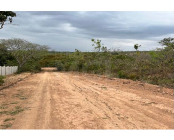 Foto de DIVINÓPOLIS/MG – Lote com 800,00m² no bairro Vivendas da Exposição
