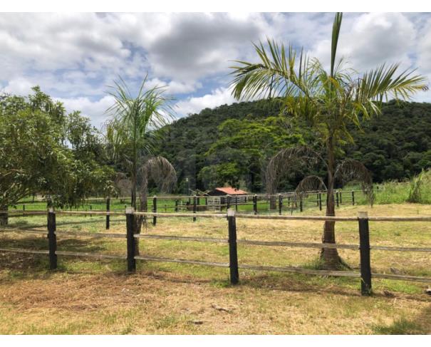 Foto de BOM JESUS DO GALHO/MG – Sítio com a área de 41,88,78ha², denominado Ribeirão do Galho