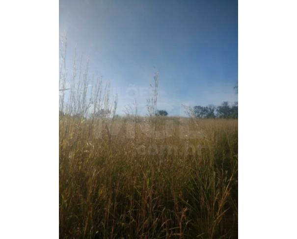 Foto de BRASILÂNDIA DE MINAS/MG — Fazenda Cachoeira 303.13.28 hectares (3.031.300m²) 