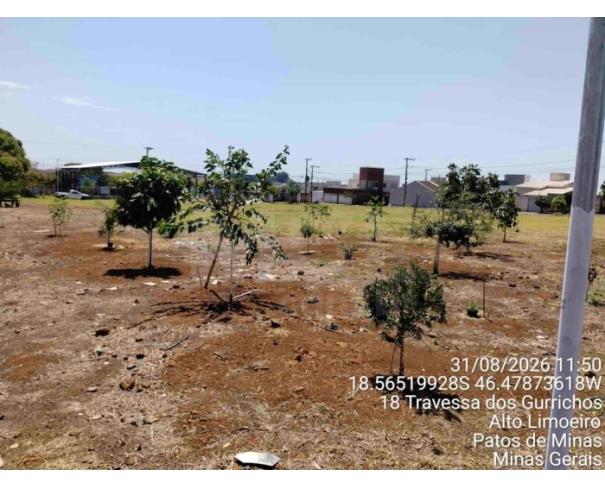 Foto de PATOS DE MINAS/MG - Praça constituída pela Quadra 13, com área de 4.256,00 m², localizada no Bairro Alto Limoeiro