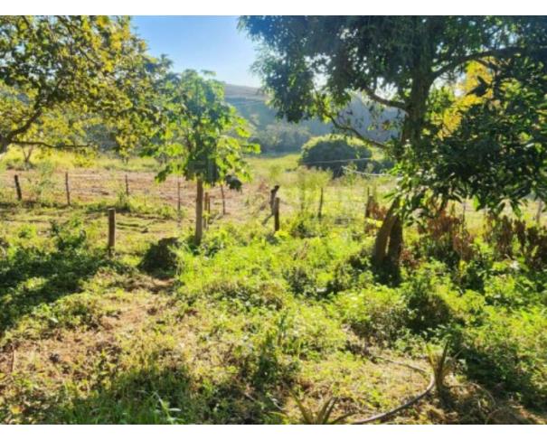 Foto de NEPOMUCENO/MG — Terreno Rural com 8.14.19 hectares no Pimenta