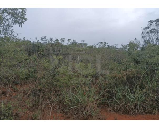Rubelita/mg - terreno rural com 50.00 hectares no quatro passagens. sítio/ chácara em leilão | mgl leilões