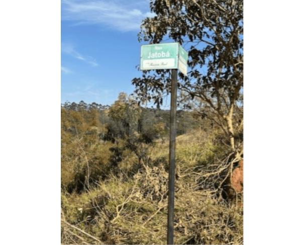 Foto de PAULA CÂNDIDO/MG — Lote com 305,00m² no Loteamento Reserva Real.