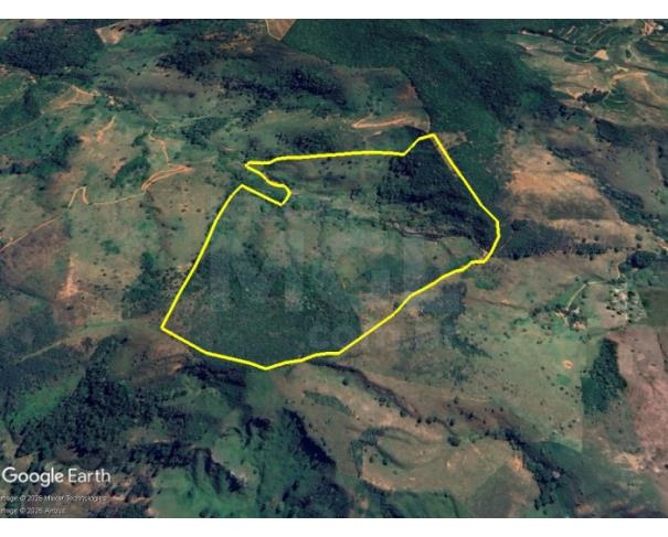 Foto de TARUMIRIM/MG - Terreno Rural com 09,02,46 hectares no Córrego cabeceira do Bananal