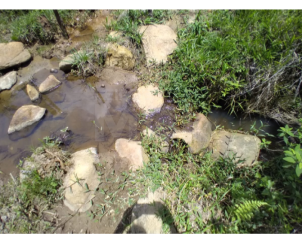 Foto de SERRA DO CAMAPUÃ/MG — Terreno Rural com 18.42.57 hectares no Pasto de Trás 