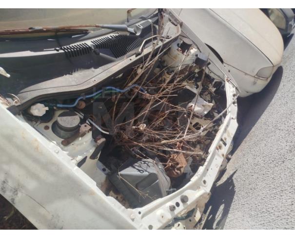 Foto de APARECIDA DE GOIÂNIA/GO - FIAT Siena Fire Flex - PARA RETIRADA DE PEÇAS