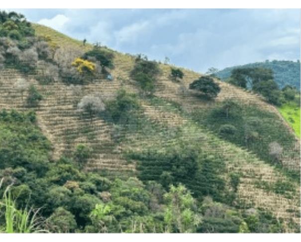 Jacutinga/mg imóvel rural situado no bairro bocaiúva com área de 6,7074ha lote em leilão | mgl leilões