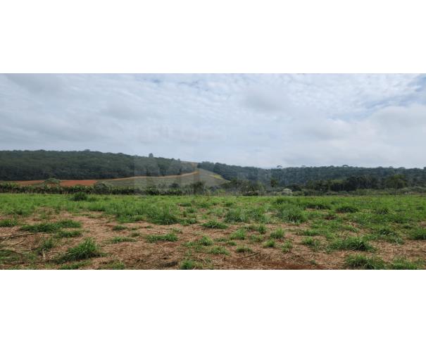 Foto de BOA ESPERANÇA/MG – Gleba rural com 4,85,20ha, situada no Sítio Agropecuária Friesp