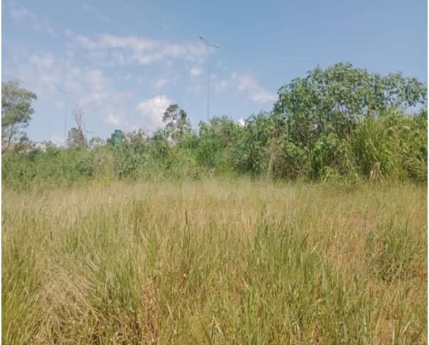 Foto de GUIMARÂNIA/MG – Lote de terreno a área de 263,98m², situado no Bairro Jardim Paraíso