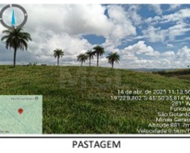 Foto de SERRA DA SAUDADE/MG- FAZENDA LARAJEIRAS 