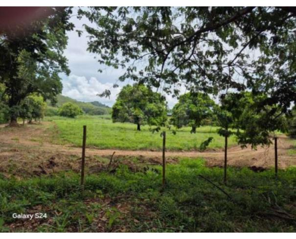 Foto de LEOPOLDINA/MG — Fazenda com 46.15.70 hectares na Fazenda São Sebastião