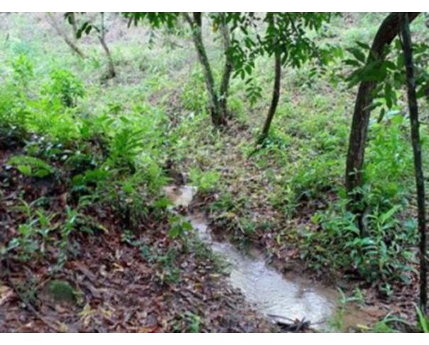 Foto de SILVA JARDIM/RJ — Fazenda com 305.80.00 hectares ou 63,19 alqueires