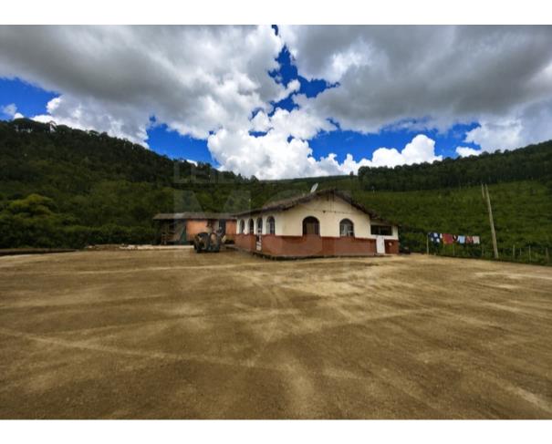 Foto de ORIZÂNIA/MG – Fazenda cafeeira produtiva com a área de 22,08,48ha, denominada Fazenda Providencia, Córrego da Fumaça
