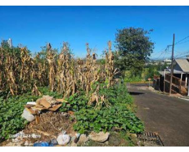 Foto de CHAPECÓ/SC - Terreno com 1.405,76m² no Conjunto Habitacional Bela Vista