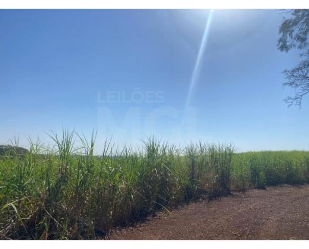 Foto de ITAPAGIPE/MG – Terreno Rural com 10.55.14 hectares na Fazenda Moeda ou Moeda de Cima