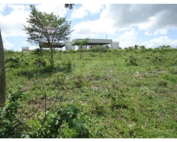 Foto de CAMPOS DOS GOYTACAZES/RJ — Terreno com 36.370,71 m² no Parque Jardim Aeroporto