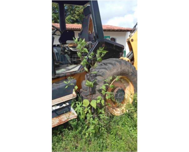 Foto de ANTÔNIO CARDOSO/BA - Retroescavadeira JCB, modelo 3C