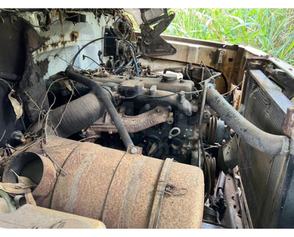 Foto de VISCONDE DO RIO BRANCO/MG- GM/Chevrolet 12000 Custo- 1995/1995