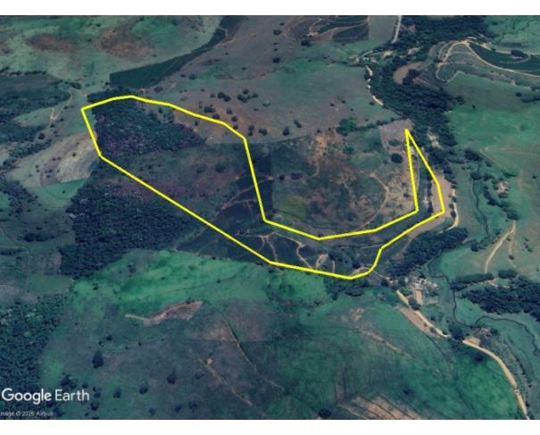 Foto de DIVINO/MG — Terreno rural com 09.38.18 hectares no Santo Antônio das Palmeiras