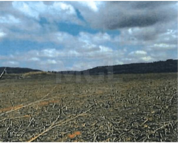 Foto de GUARDA-MOR/MG - Imóvel rural com área de 42,17,87 hectares, situado na Fazenda São Romão da Cachoeira ou Capão da Onça