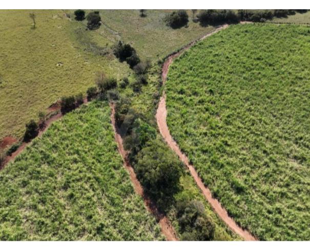 Foto de ITAPAGIPE/MG – Terreno Rural com 10.55.14 hectares na Fazenda Moeda ou Moeda de Cima