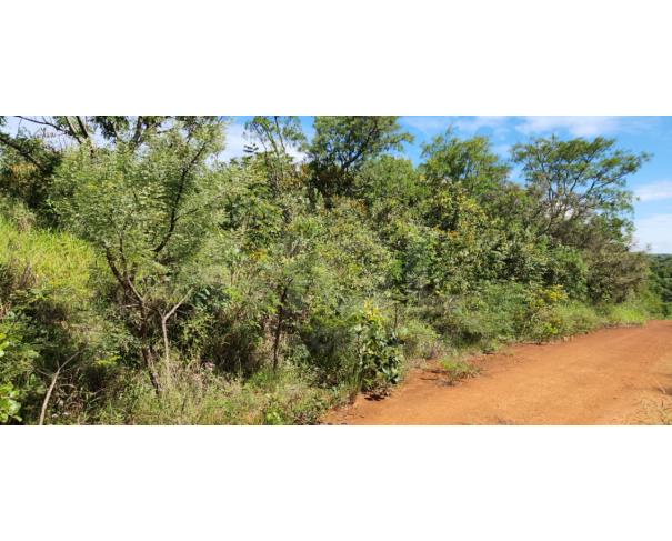 Foto de BOA ESPERANÇA/MG LOTE NO BAIRRO JARDIM NOVA ESPERANÇA, COM A ÁREA DE 560,00M²