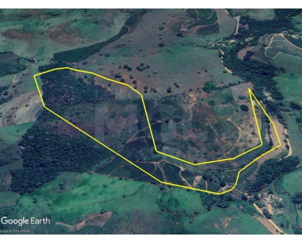 Foto de DIVINO/MG — Terreno rural com 9.38.00 hectares no Santo Antônio das Palmeiras