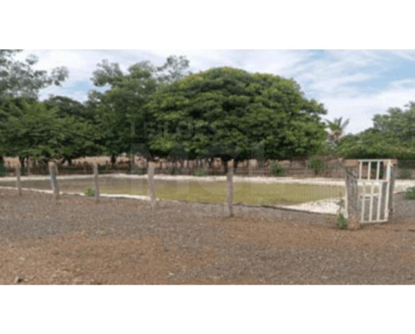 Foto de MUQUÉM DO SÃO FRANCISCO/BA – Fazenda com a área de 225,1618ha, denominada Fazenda Santa Rosa