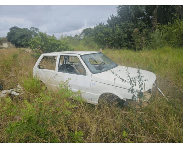 Foto de CASTRO/PR - Fiat Uno Mille Economy, 2008/2009, FLEX 