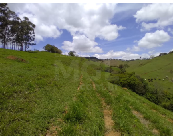 Foto de SERRA DO CAMAPUÃ/MG — Terreno Rural com 18.42.57 hectares no Pasto de Trás 