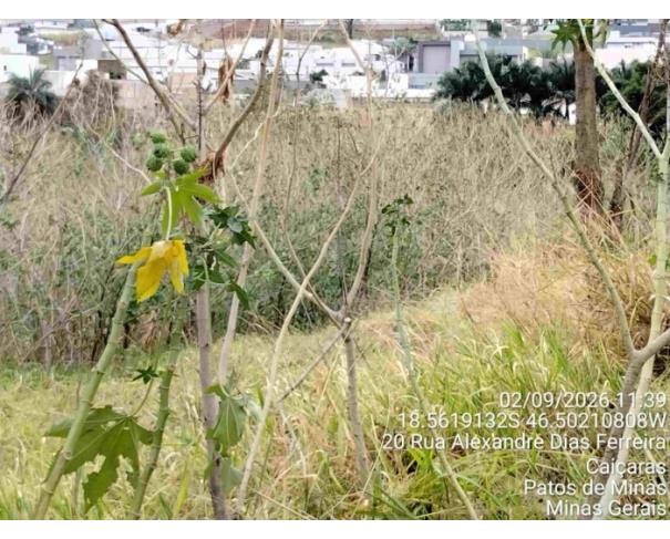 Foto de PATOS DE MINAS/MG - Lote urbano com área de 8.136,05 m², localizado no bairro Bela Vista 