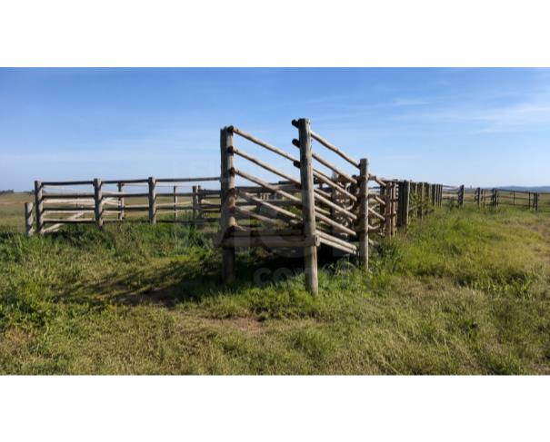 Foto de LUZ/MG – Fazenda Noruega com a área de 45,84,05ha no distrito de Esteios