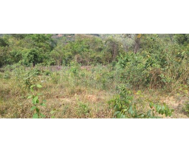 Foto de ESMERALDAS/MG — Lote com 1.350,00m² no Retiro das Esmeraldas