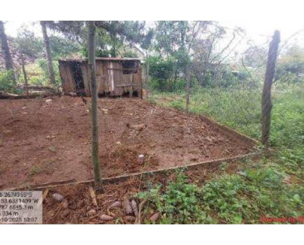 Foto de DIONISIO CERQUEIRA/SC - Terreno com 4.400 m² no bairro Salete