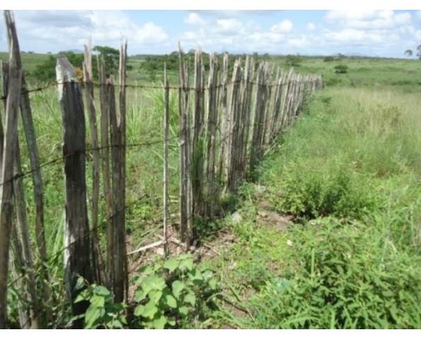 Foto de CAMPOS DOS GOYTACAZES/RJ — Terreno com 36.370,71 m² no Parque Jardim Aeroporto