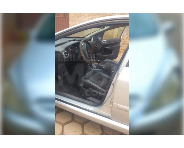 Foto de SÃO MIGUEL DO ANTA/MG - PEUGEOT 307 16 PR PK