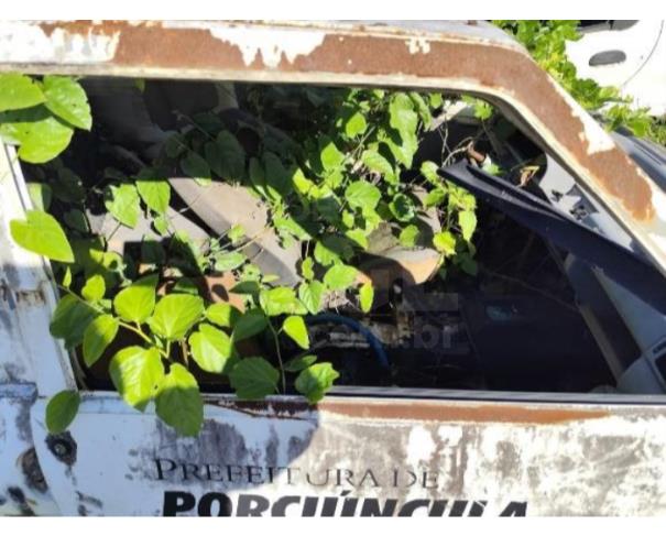 Foto de PORCIÚNCULA/RJ -Carro Fiat Uno Mille Fire 2003/2003