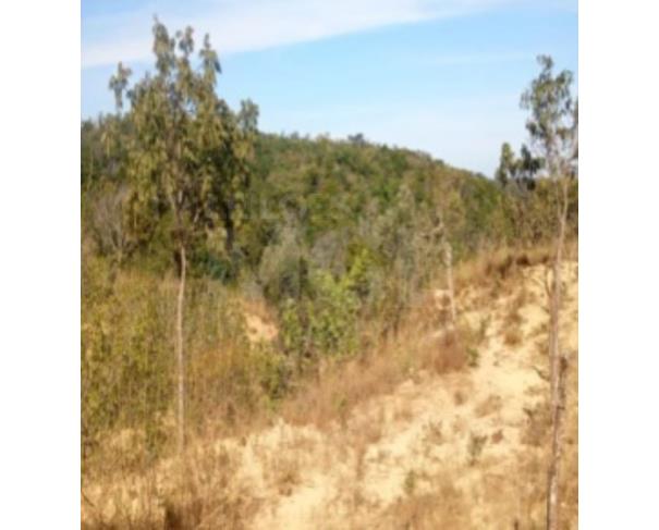 Foto de UNAÍ/MG – Fazenda com a área de 4,58,85ha, denominada Fazenda Boa Vista – Parte 2