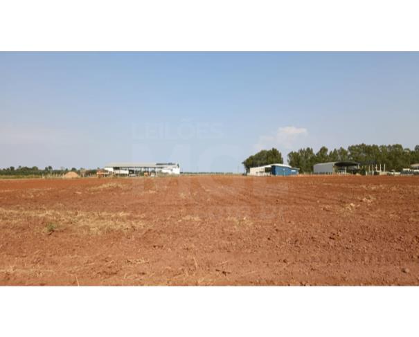 Foto de CEREJEIRAS/RO - Terreno urbano com 6.250,00 m² no Setor Industrial 07