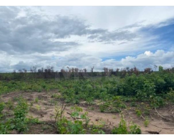 Foto de VILA NOVA DOS MARTÍRIOS/MA - FAZENDA SANTA MARIA PARTE 02 COM ÁREA DE 104,4522HA