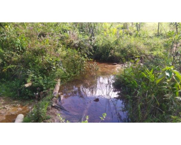 Foto de RIO VERMELHO/MG TERRENO COM ÁREA DE 07,86 HA 